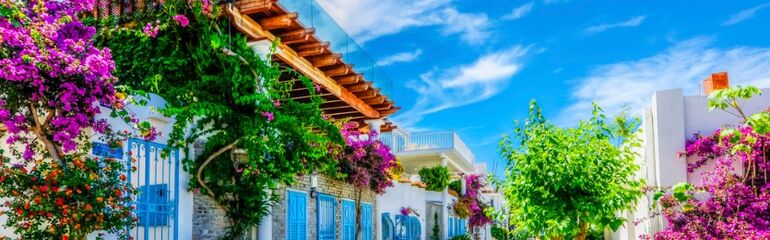 BODRUM-GÜMÜŞLÜK